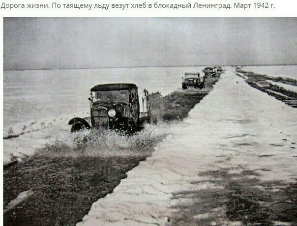 темгьдіентчс ма 94