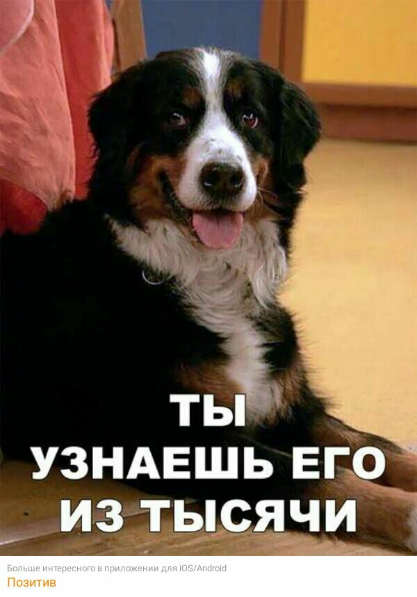 УЗНАЕШЬ Его из тыячи1