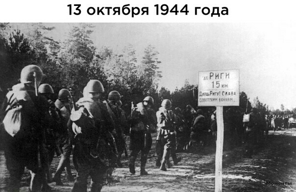 а д о г 4 4 9 1 Я о б К о 3 1