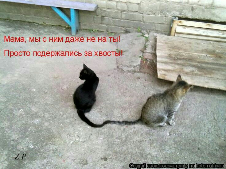 ь Мама мыс ним даже нёна ТЫ Просто подержапись за хвостйг