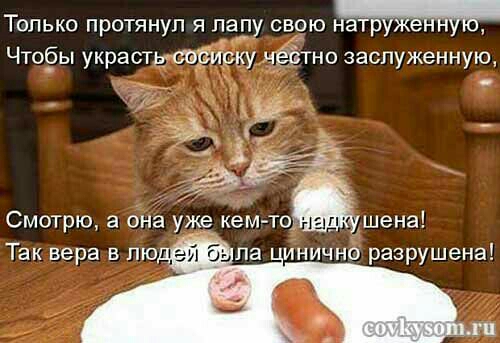 ТОЛЬКО протянул Я па__1у СВЧЮ натреаеншц Чтобы украстысвсирку Иёітно заслуженную