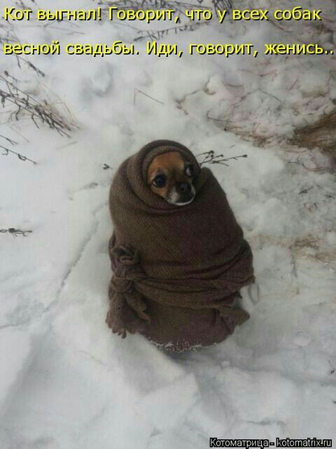весной свадьбы Йёщ югщзщ