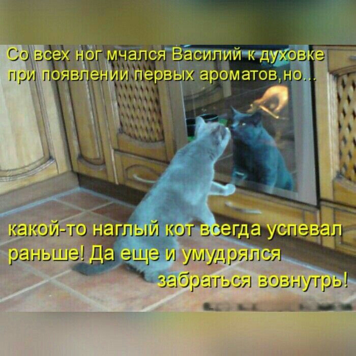 чался ВЁСИПИЙ к духа и иЦервьііх ароматовно ми абргггься вознугрь
