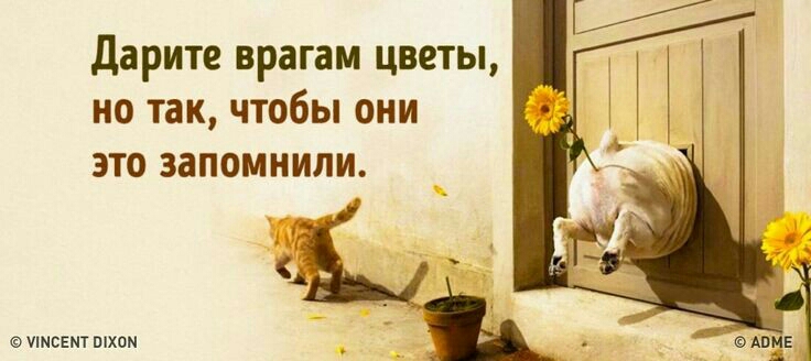 Дарите врагам цветы но так чтобы они это запомнили имсямт шхом