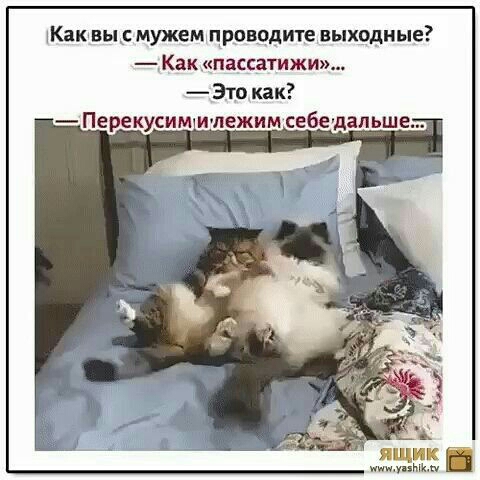 Каквы мужем проводите выходные Как пассатижи Это как Перекусим ищежим себедапьше ящик у ам