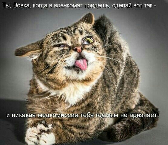 Ты Вовка когда в военкомат придешь сдепай вот так