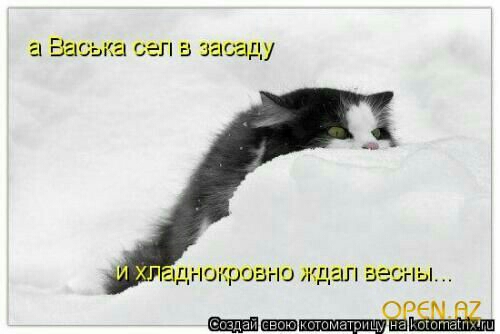 аааштсегшзасвду наивно ждал весны