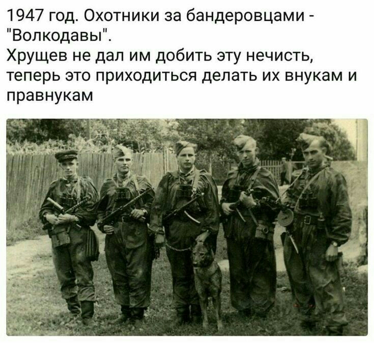 1947 год Охотники за бандеровцами Вопкодавы Хрущев не дал им добить эту нечисть теперь это приходиться делать их внукам и правнукам
