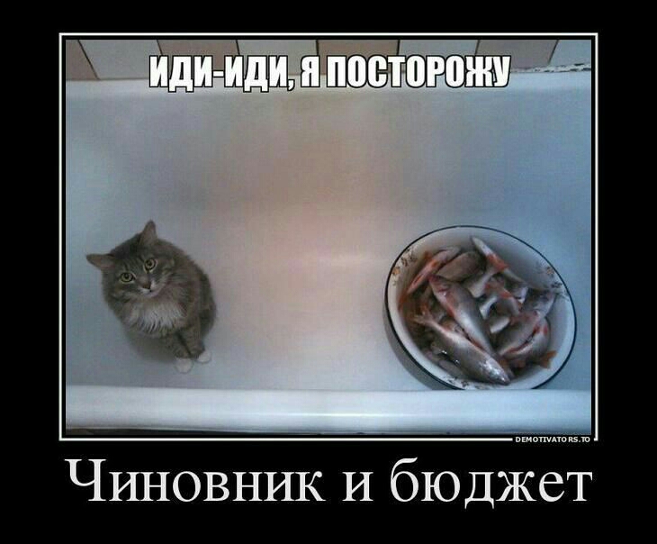 Чиновник И бюджет