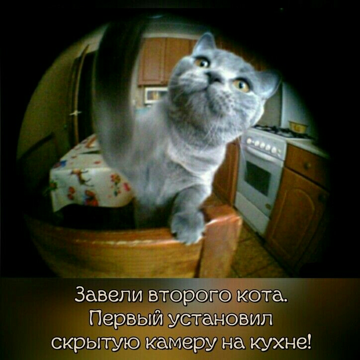 Заведи вт р гдн120га та Первый н скрытую камеру на кухне
