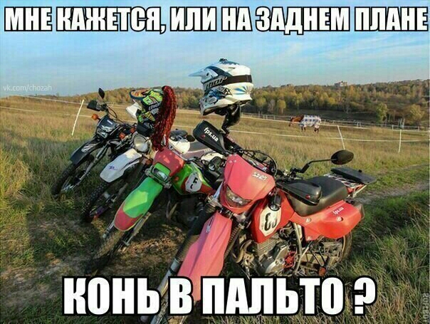НВНЬ В ПАЛЬЮ 9