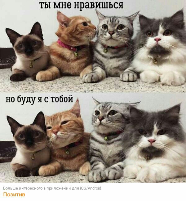 ТЫ мне НРЗВЧХШЬСЯ