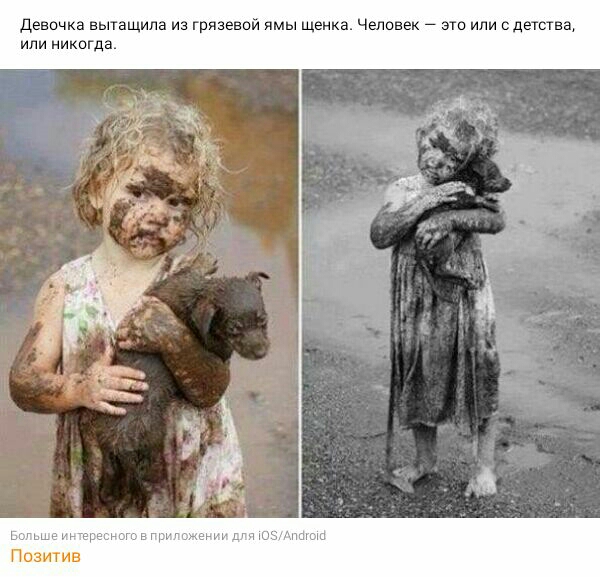 Девочка вытащила из грязевой ямы щенка Человек 7 это или едететва или никогда