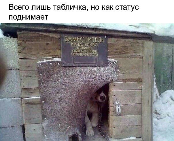 ВСЕГО ЛИШЬ табличка НО как СТЭТУС поднимает