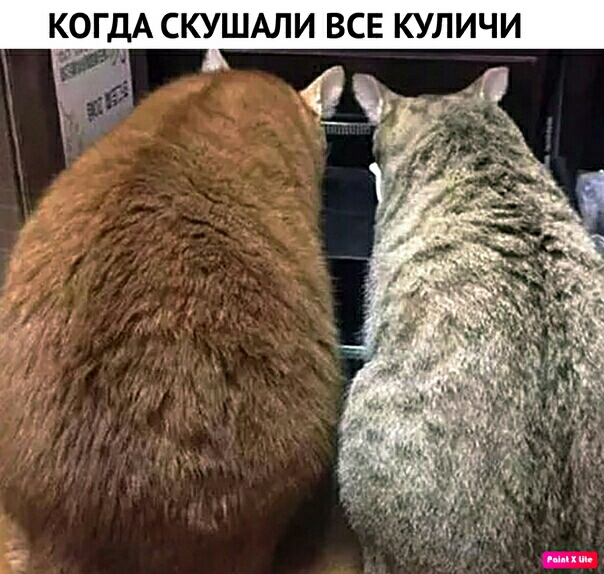 К_0ГДА СКУШАЛИ ВСЕ КУЛИЧИ 7