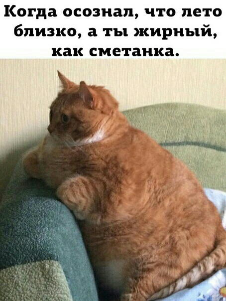Когда осознал что лето близко а ты жирный как сметанка