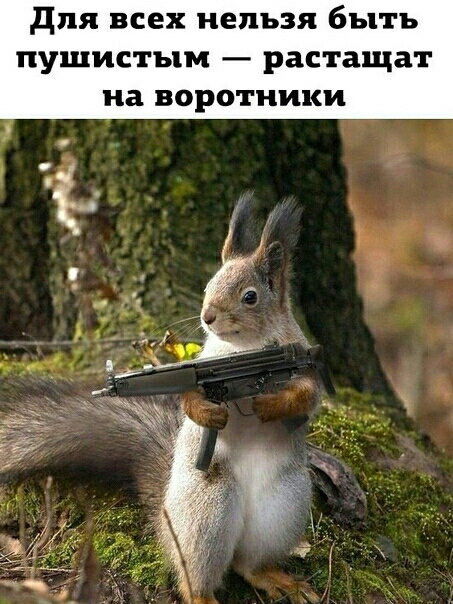 для всех нельзя быть пушистым растащат на воротники