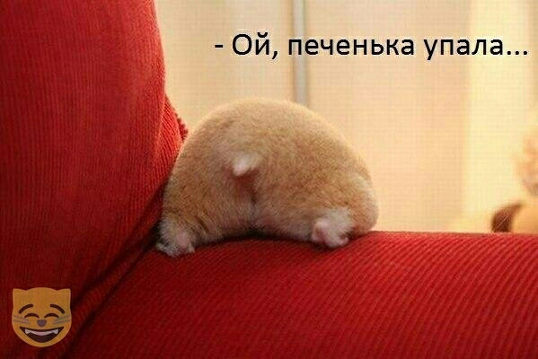 Ой печенька упала
