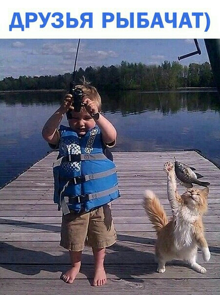 друзья РЫБАЧАТ