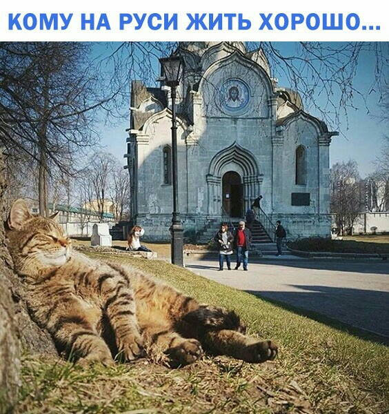 КОМУ НА РУСИ ЖИТЬ ХОРОШО