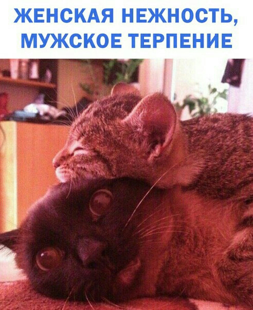 ЖЕНСКАЯ Н ЕЖНОСТЬ Е МУЖСКОЕ ТЕРПЕНИ _