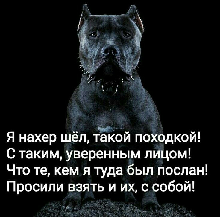 Я нахер шёл тЁТЁой поХодкой С таким уверенным луіцом Что те кем я туда был послан Просили взять и их с собой