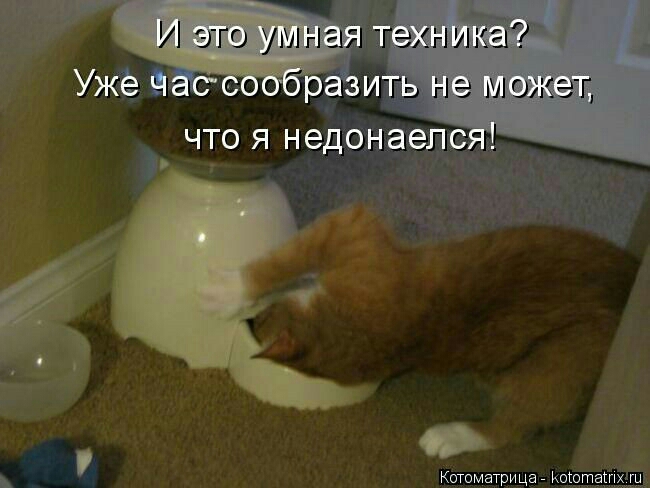 Уже Час л разить ые може д Котоматрица Коютзіпыц