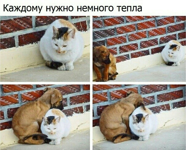 КдЖДОМУ НУЖНО НЕМНОГО тепла