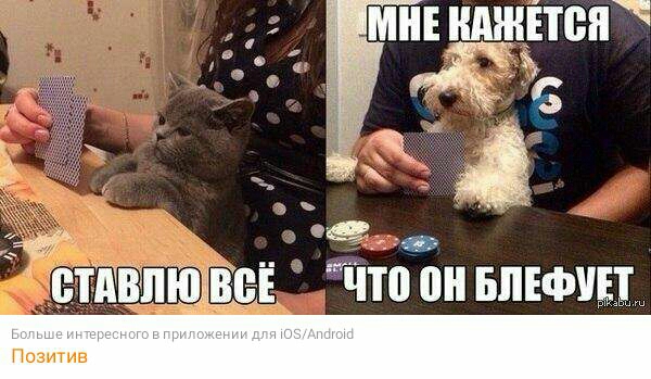 Йа он плющ Позитив стпвпюэівы