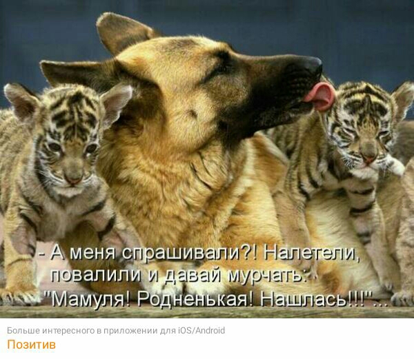 И у а 4 А амупя_ кая