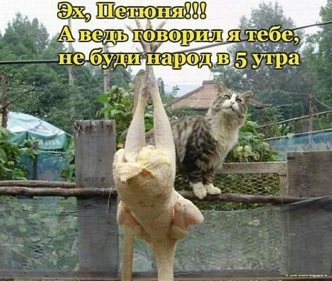 и и 413751132 _ ЁЁ ЁТ _5Н_іь_х_