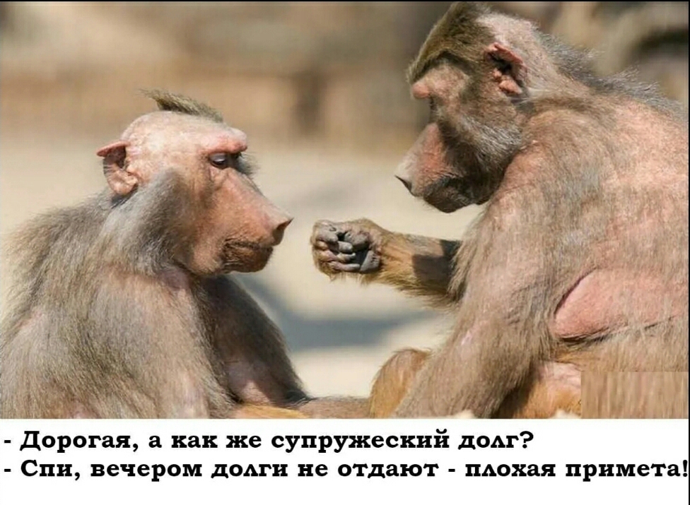 дорогая а как же супружеский дом Спи вечером долги не отдают пАохая примета
