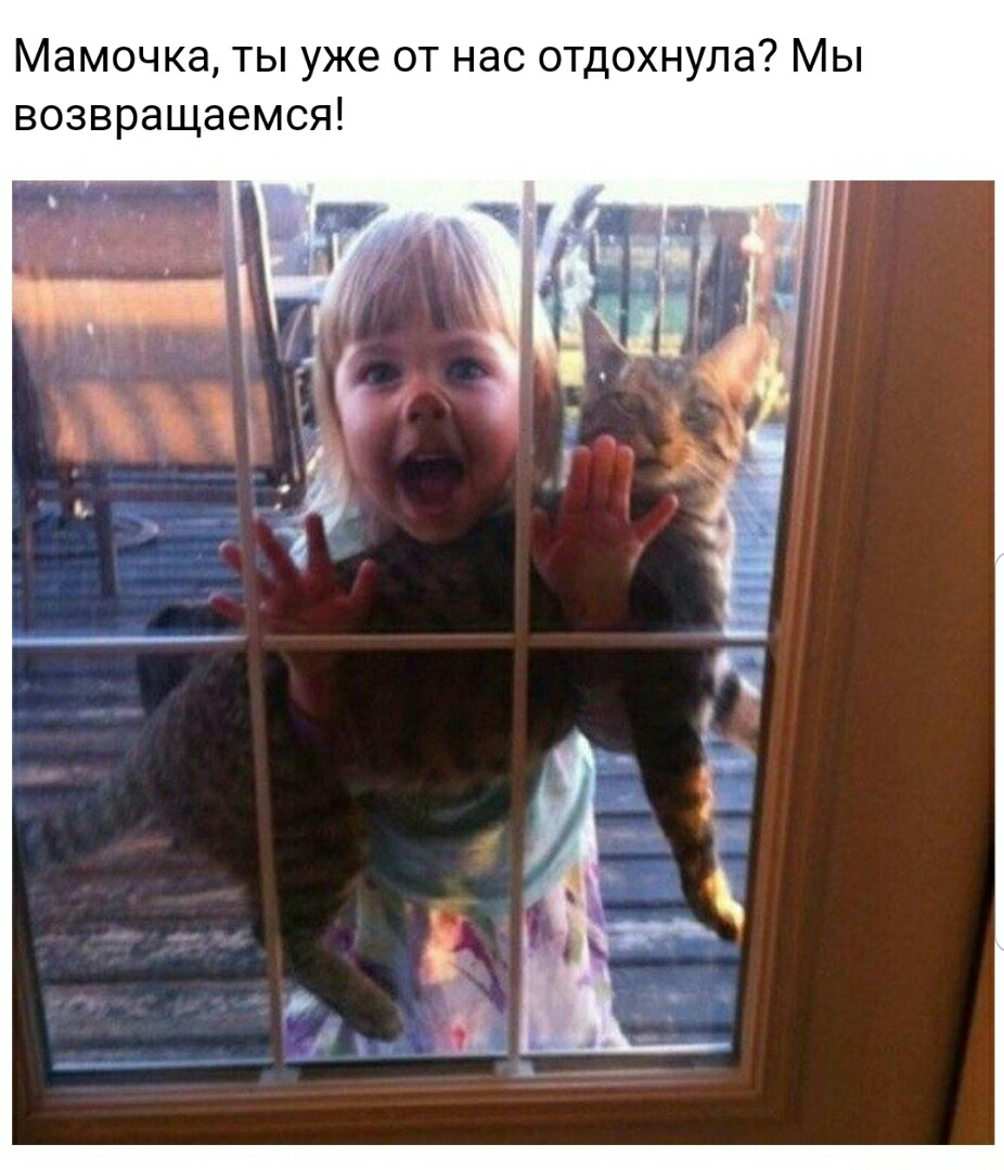 Мамочка ты уже от нас отдохнула Мы возвращаемся