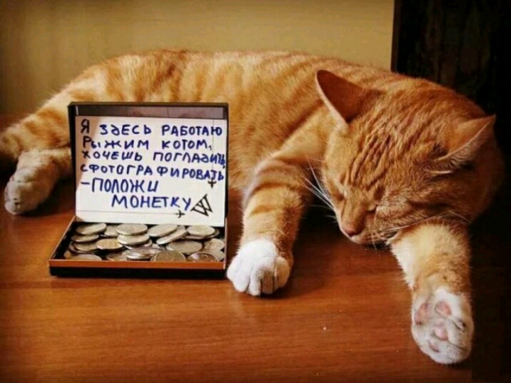 жит готам оч шь псгАгчщ гшигм тим ПМ013 мп гт чё