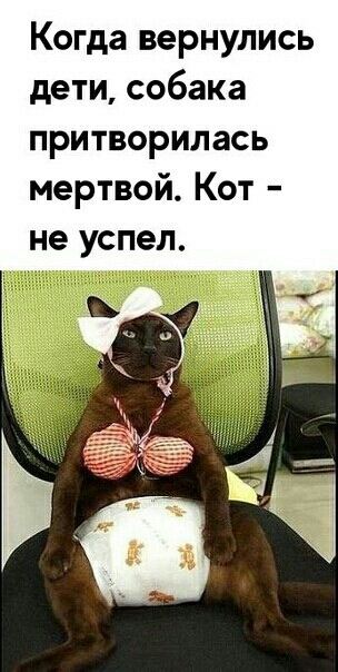 Когда вернулись дети собака притворилась мертвой Кот не успел