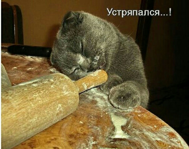 Устряпался