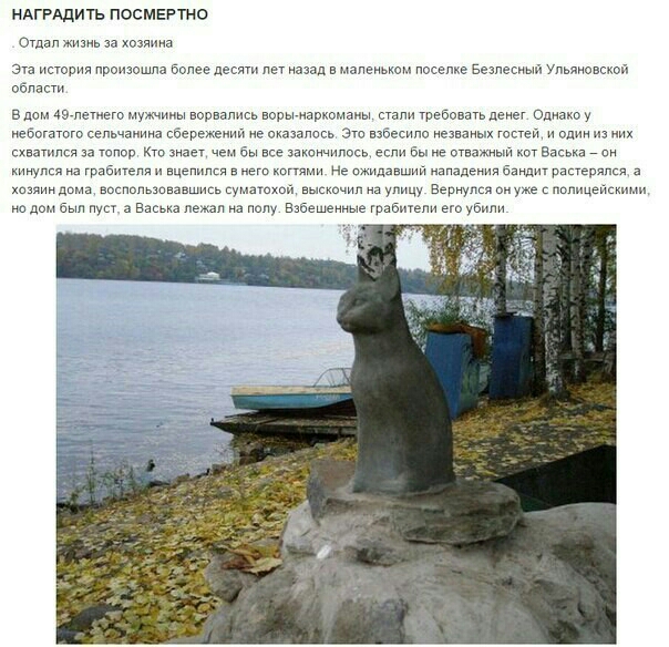 ндгрвдить посмвРтно Отдал житиь ва хозяина Эш исюпии произошла более десяти пвУ назад в маленьком поселке вещесиыа Ульяновской области влом тщете мужихы ворвались воры наркомаиы степи требовать денег Однакоу ебогатго сельчаиииа сбережгиий не оказалось Эт взбесило незваных гостей и опптпиих схватился за топор Ктознаеч чем вы все іакснчипось ввв ывмныи тБасьха иупся на грабщепя и вцепился в Егп пгтя
