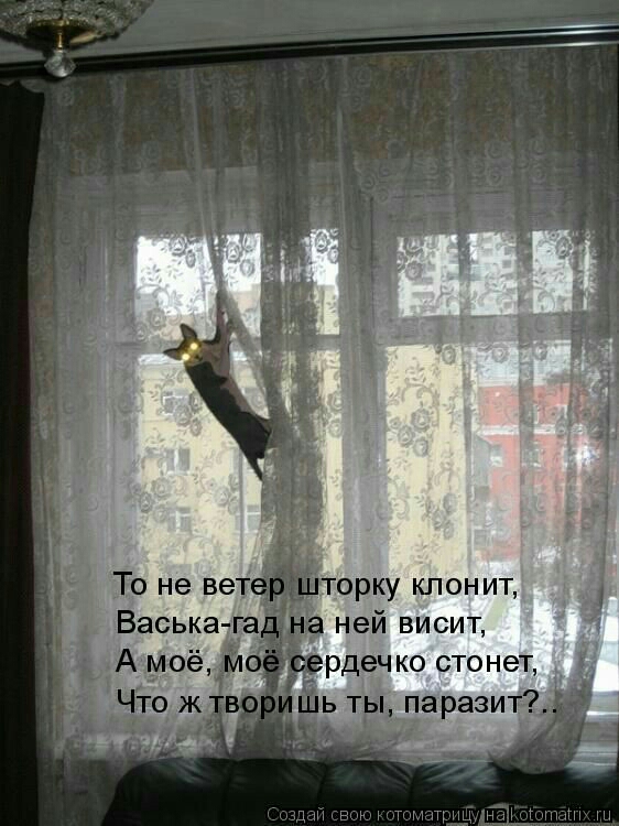 Щ ней висит рдеч ко стонет _ 1парази г цм в мы и мы и