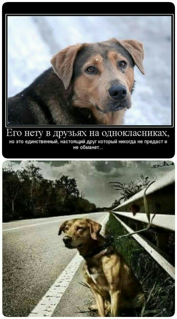 Его нету в друзьях на однокласниках но это единственный настоящий друг который никогда не предаст и не обманет