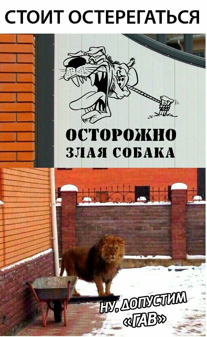 СТОИТ ОСТЕРЕГАТЬСЯ 0010102К110 ЗЛАЯ СОБАКА