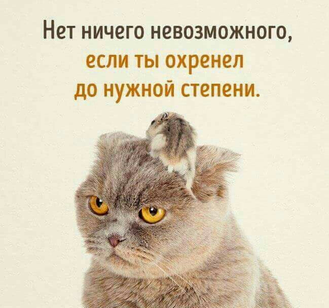 Нет ничего невозможного если ты охренел до нужной степени