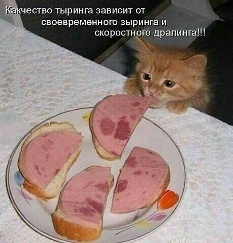 х чество тыринга зависит от своевременного зыринга и скоростного драпинга