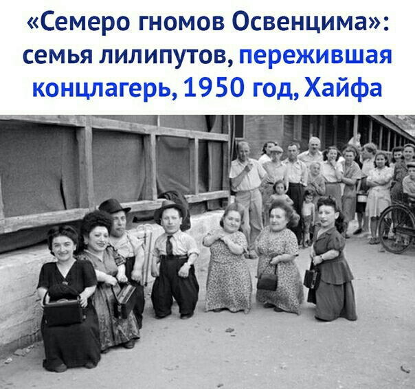 Семеро гномов Освенцима семья ЛИЛИПУТОВ
