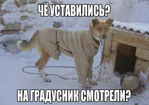 ЮМВИПИБЬ