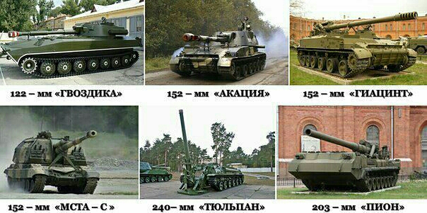зи мсгАс
