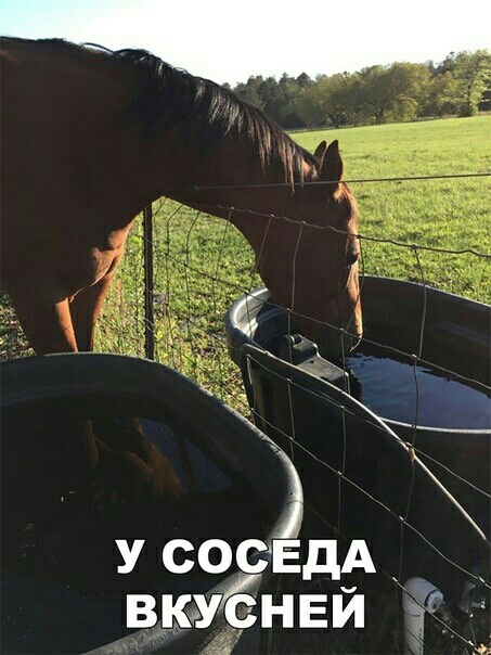 с л У СОСЕдА _ вкуснвй