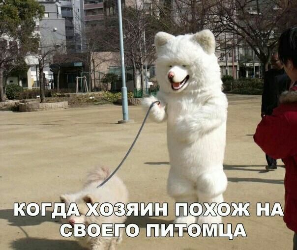 кегдАяин Ёбжсфж нд Ё ПИТФМЩЩ __