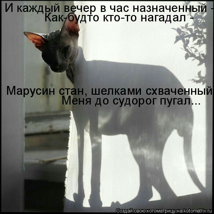 Создай свою ююматриш на оюташх и