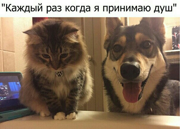Каждый раз когда я принимаю душ