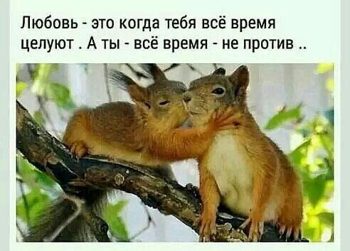 Любовь это когда тебя всё время целуют А ты всё время не против ЁЁ
